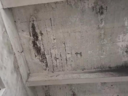 贵州安顺市普定县车间厂房房屋检测